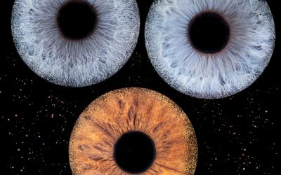 Pourquoi venir faire des photos d’iris au studio Simon Abiker photographe?